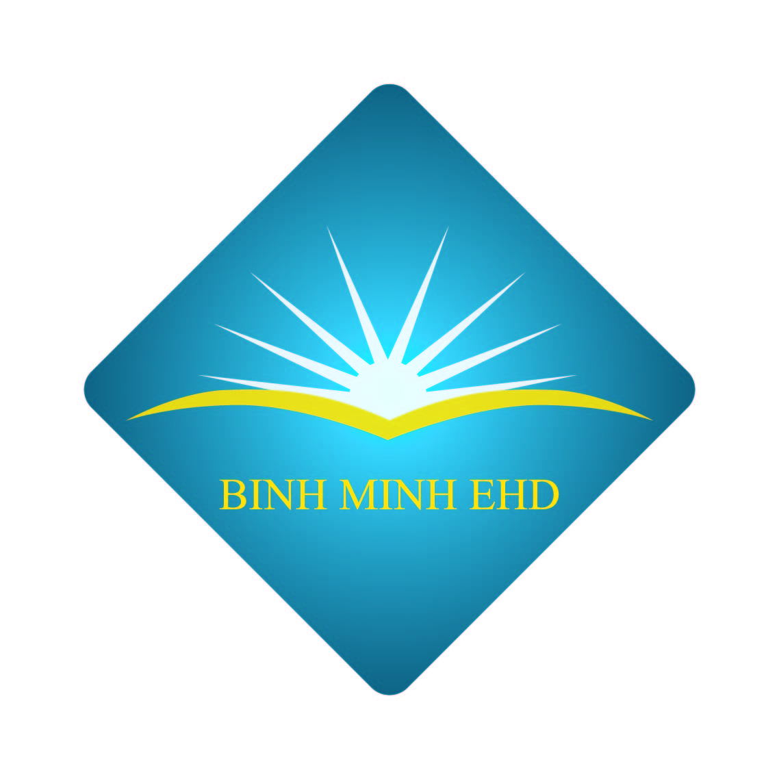 BINH MINH EHD INTRODUCTION